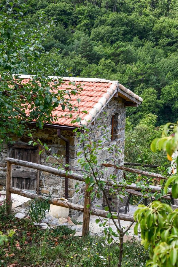 Casa Lucertola Βίλα Apricale Εξωτερικό φωτογραφία