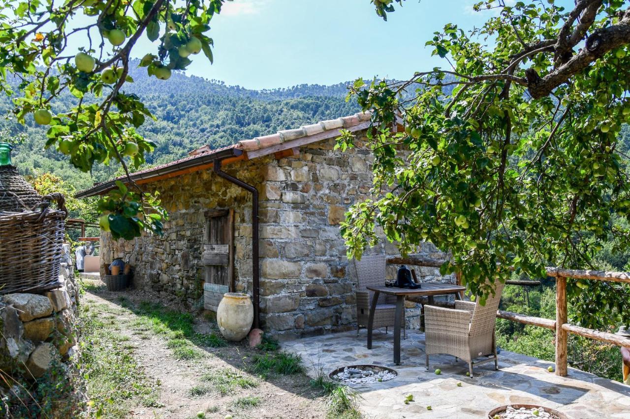 Casa Lucertola Βίλα Apricale Εξωτερικό φωτογραφία